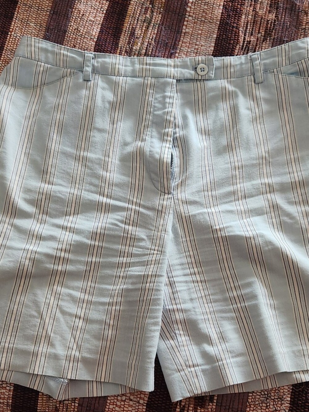 Vintage Woman's Light Blue Striped Casual Shorts